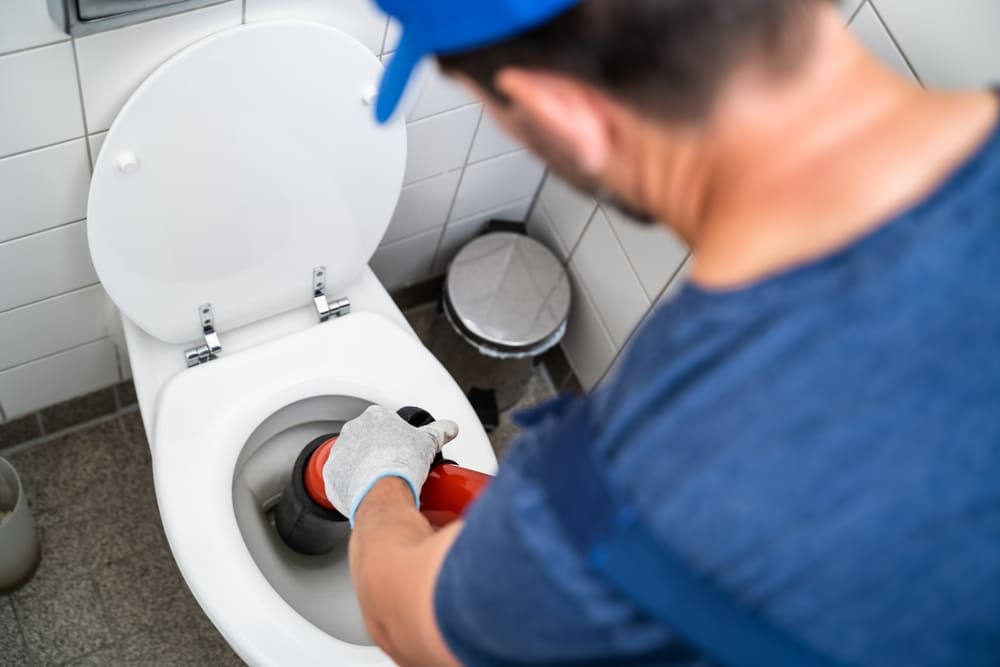 Toilettes bouchées débouchage WC par plombier ou DIY